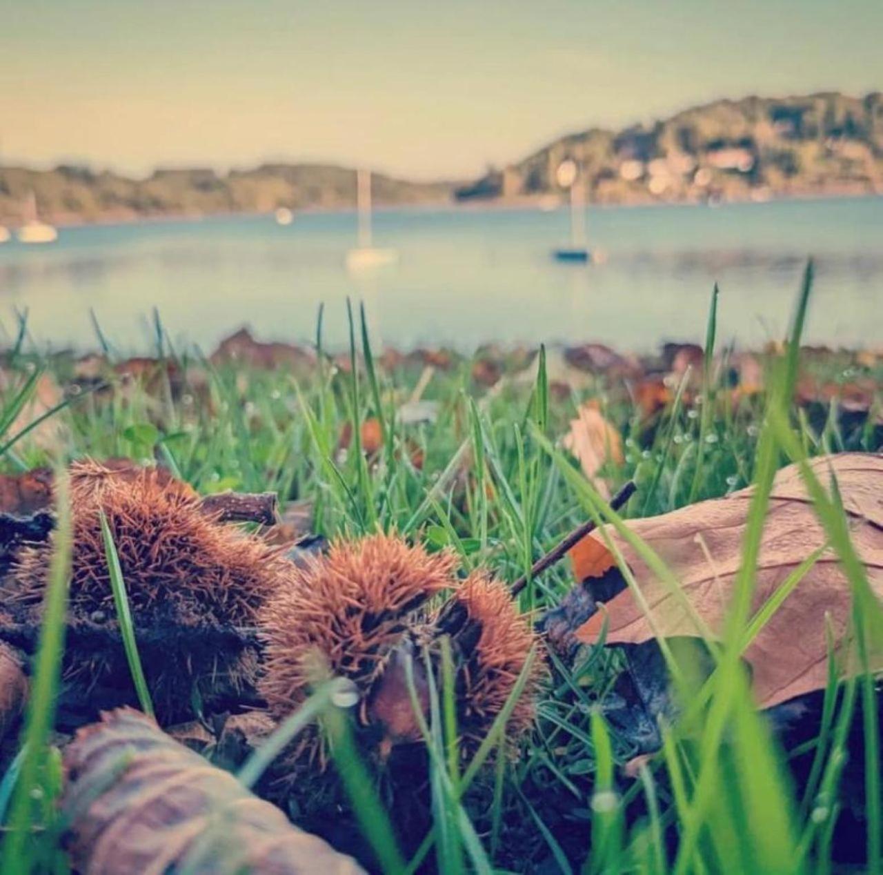 Studio Au Bord Du Lac D'Eguzon Екстер'єр фото